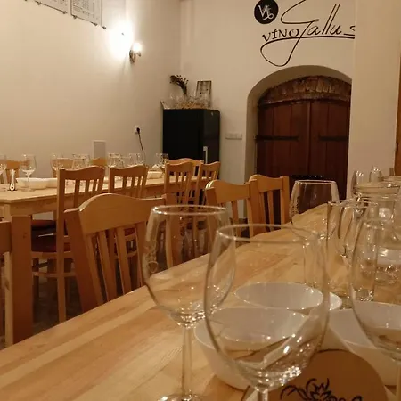 Apartament Apartman A Vinny Sklep - Vino Gallus Znojmo