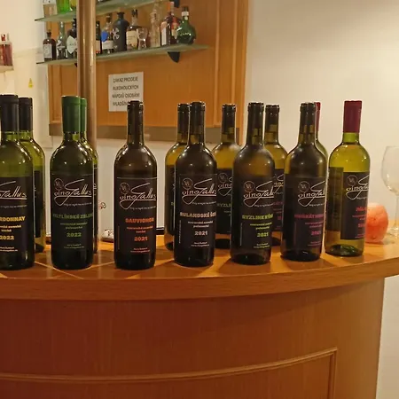 Apartman A Vinny Sklep - Vino Gallus Apartament Znojmo