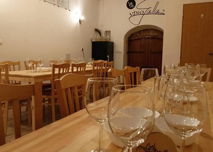 Appartamento Apartman A Vinny Sklep - Vino Gallus Znojmo