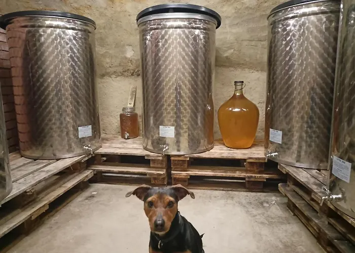 Appartamento Apartman A Vinny Sklep - Vino Gallus *