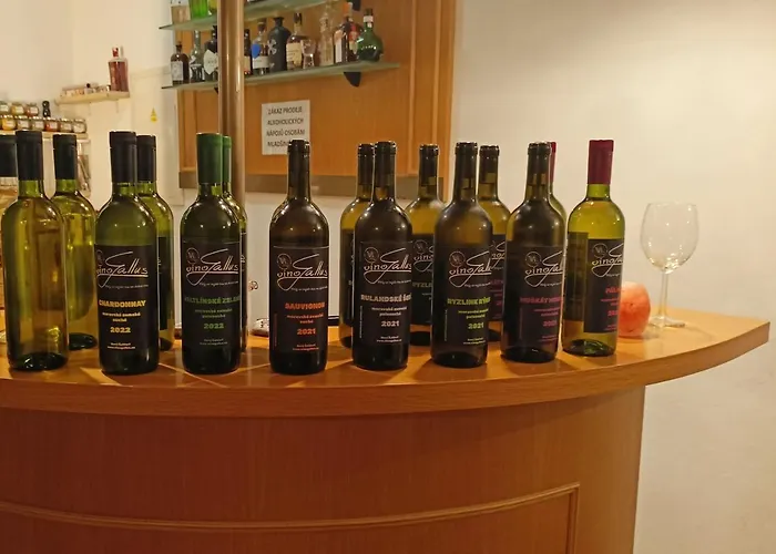 Apartman A Vinny Sklep - Vino Gallus Appartamento Znojmo